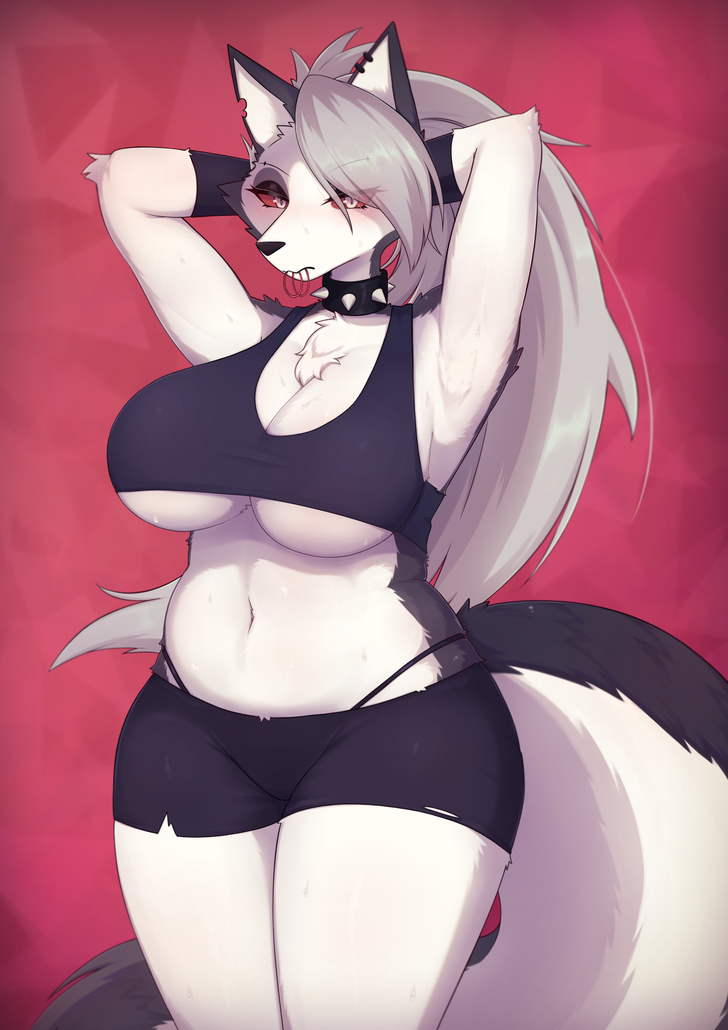 1girls, anthro, belly, big breasts, breasts, chubby, collar, crop top, female, female focus, female only, furry, grey fur, grey hair, hellhound, helluva boss, looking at viewer, loona (helluva boss), love handles, object in mouth, red pupils, ripped shorts, shano 541, small clothes, sweating, tying hair, weight gain, weight gain female, weight gain furry, white fur, wolf, wolf girl