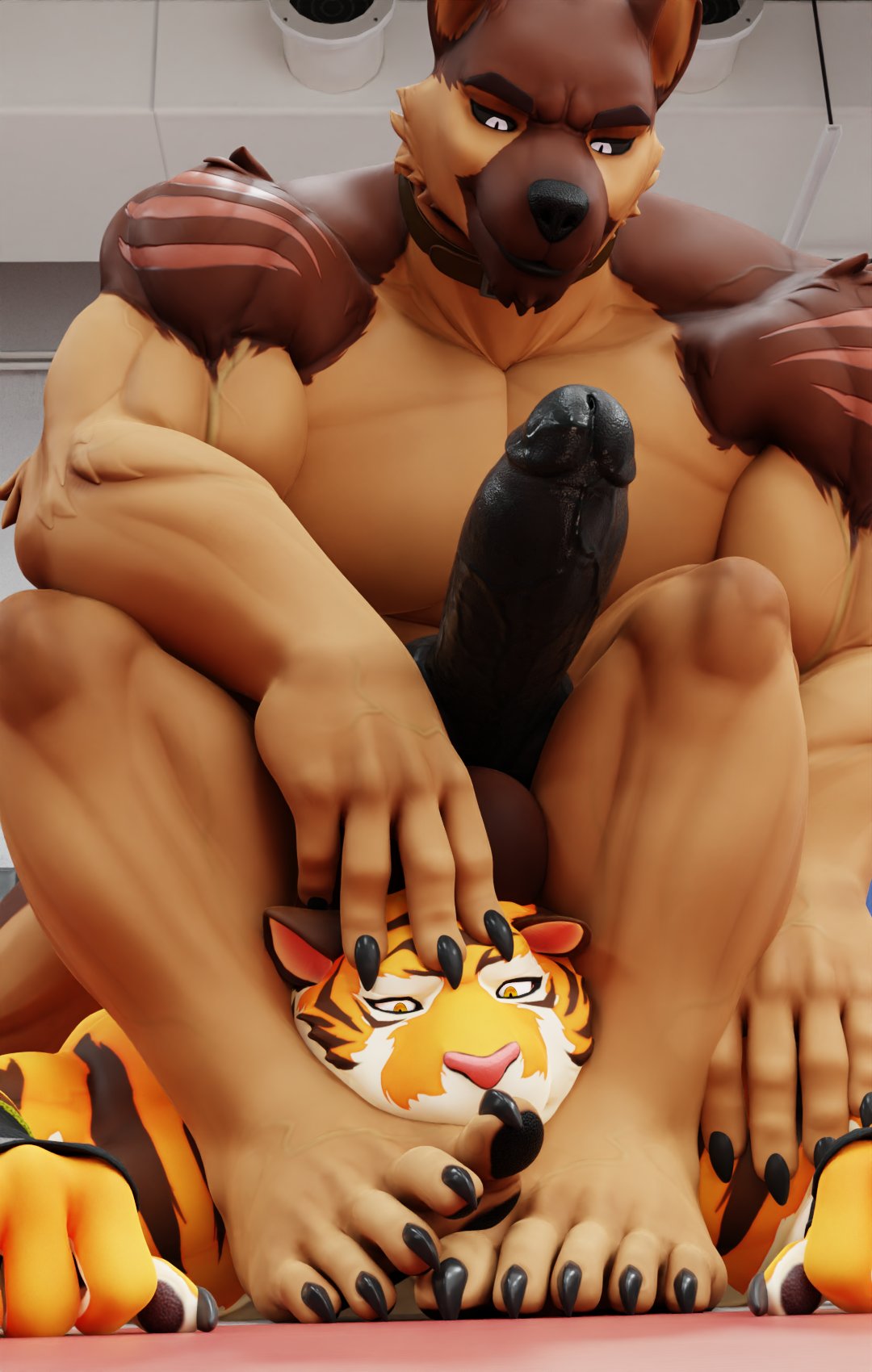 2022 3d_(artwork) anthro anthro_on_anthro balls biceps big_balls big_muscles big_penis canid canine canis claws clothing collar connivingrat dal_(dal_your_pal) digital_media_(artwork) domestic_dog duo erection eyebrows feet_in_face felid fingerless_gloves foot_fetish fur gay genitals german_shepherd gloves handwear herding_dog hi_res humanoid_genitalia humanoid_penis hybrid_genitalia hybrid_penis inside knot lying male male/male male_on_bottom male_on_top male_only mammal muscular muscular_anthro muscular_male narrowed_eyes nude on_bottom on_front on_top pantherine pastoral_dog pecs penis scar sitting smile stead_(connivingrat) tiger tuft wrestling yaoi