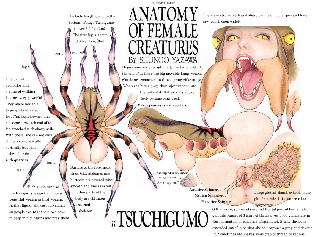 1girls body_horror cryptozoology fangs female gaping_maw human hybrid japanese_mythology monster_girl mythology nightmare_fuel no_cheeks open_mouth public_domain shungo_yazawa source_request spider spider_girl tsuchigumo what x-ray