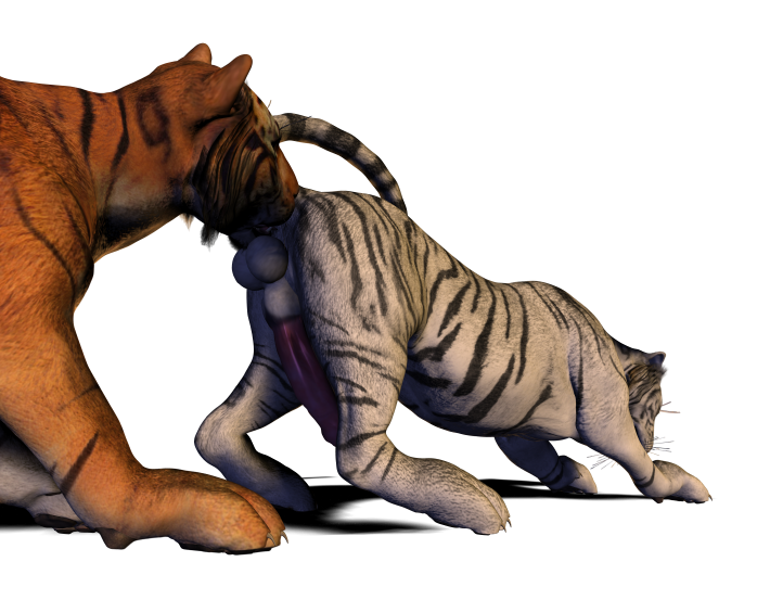 2009 3d alpha_channel anal balls erection feline feral furry furry_only gay hyper male no_humans oral orange penis raised_tail rimming siberian_tiger spanking_(artist) tail tiger transparent_background white_fur