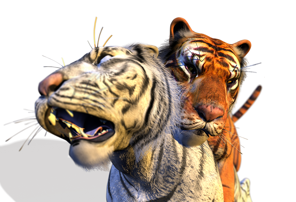 2009 3d alpha_channel anal closed_eyes feline feral fur gay male male_only no_humans open_mouth orange orange_eyes siberian_tiger spanking_(artist) tiger transparent_background white_fur