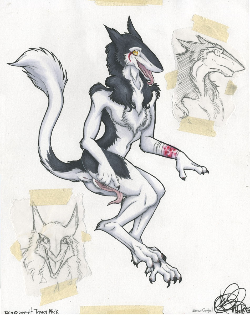 anus blood female malachi plump_labia prehensile_clitoral_hood pussy rain_silves sergal solo