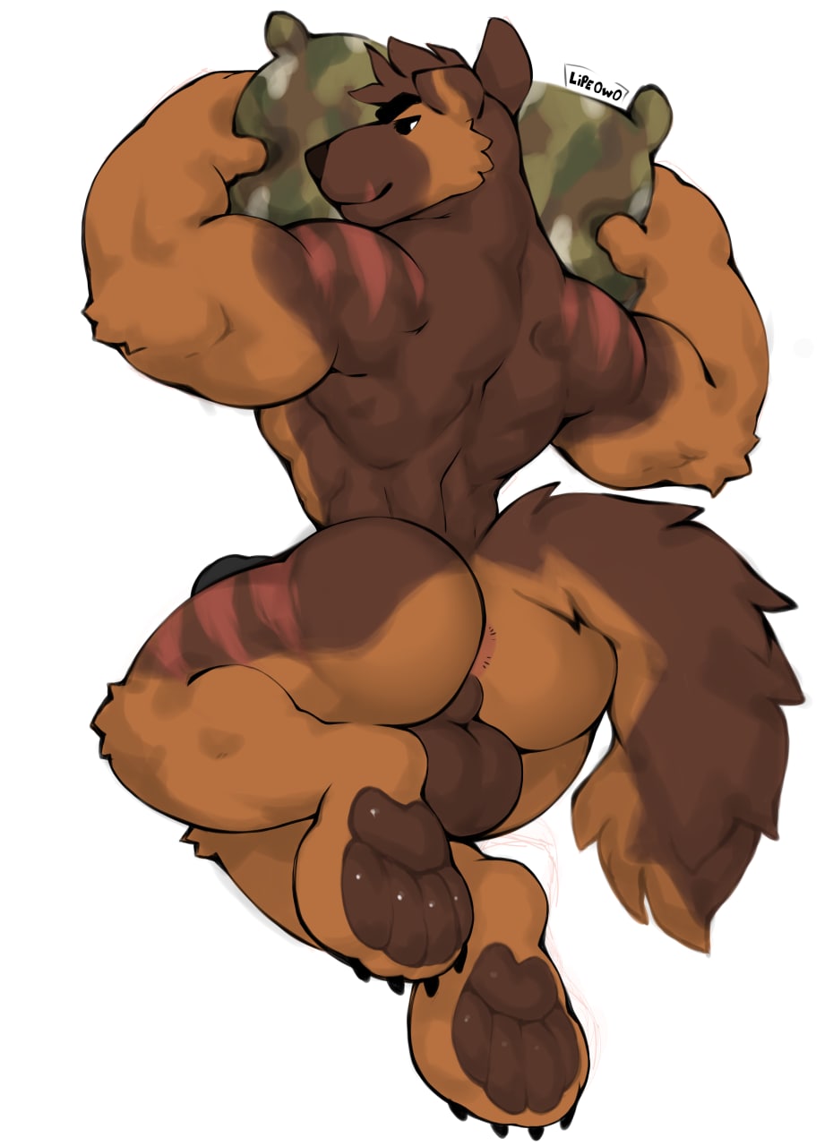 anthro anus ass balls bulge canid canine canis dal_(dal_your_pal) domestic_dog genitals german_shepherd herding_dog hi_res lipecachorrinho looking_at_viewer male mammal muscular muscular_anthro muscular_male pastoral_dog pawpads paws pillow raised_tail scar solo