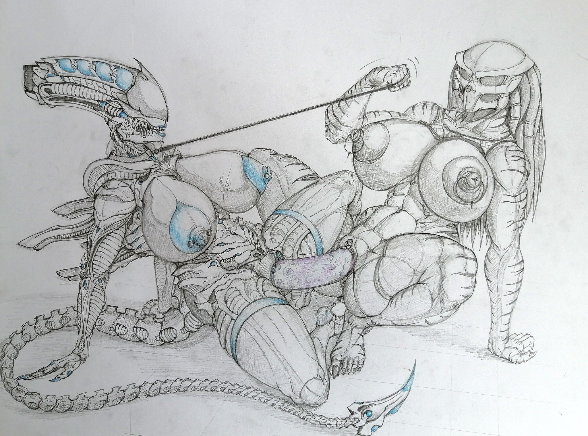 2d, 2girls, abs, alien, alien (franchise), alien girl, athletic, athletic female, curved edge (tbkaltoria), deashold, dildo, dildo penetration, double dildo, exoskeleton, female, female only, female xenomorph, female yautja, femdom, lesbian, multiple females, multiple girls, muscular, muscular female, predator (franchise), predator mask, pussy, sketch, vaginal penetration, xenomorph, yautja, yuri