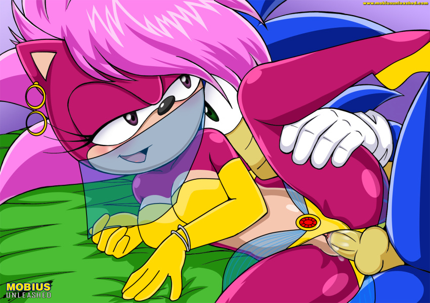 Sonia The Hedgehog (Sega) Rule 34 Image
