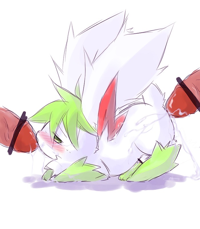 all_fours anal censored cum disembodied_penis from_behind gay green_eyes hatsuga male oral penis pokemon pokemon_(species) shaymin shaymin_(sky_form) size_difference white_fur