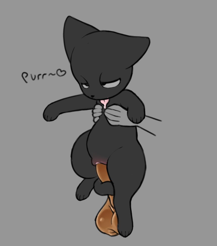 a cat is fine too, cat, feline, felis, feral, feral penetrated, just the tip, living fleshlight, mrmystery guy, tagme, tail wrapped around penis
