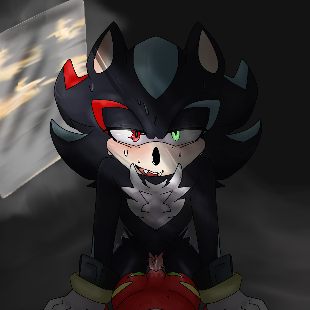 1cuntboy anthro anthro_on_anthro cuntboy echidna eye_contact fangs gloves glowing_eyes hedgehog intersex knuckles_the_echidna looking_at_viewer male_only mephiles_the_dark mobian_(species) pov sega sonic_(series) sonic_the_hedgehog_(series) source_request sweat vaginal_penetration wet_pussy