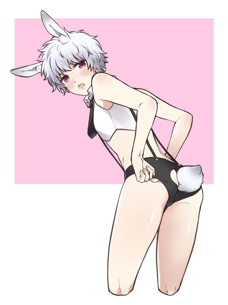 1boy, adjusting clothes, aged down, alternate costume, androgynous, animal ears, bent over, blush, bunny boy, bunny ears, bunny tail, crop top, femboy, gintama, gintoki sakata, kemonomimi, light skin, light-skinned male, looking at viewer, looking back, male, male only, necktie, pale skin, pale-skinned male, red eyes, short hair, short shorts, shorts, sleeveless, solo, suspenders, sweatdrop, tight clothing, twink, white hair, yunfa