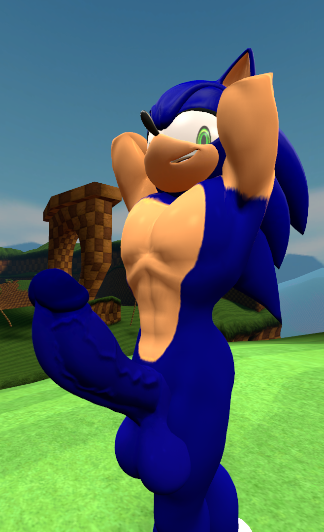 3d_(artwork) anthro balls big_balls big_penis digital_media_(artwork) eulipotyphlan genitals green_hill_zone hedgehog male male_only mammal muscular muscular_male penis pinup pose sega solo sonic_(series) sonic_the_hedgehog sonic_the_hedgehog_(series) source_filmmaker vein veiny_penis vulrik_(artist)