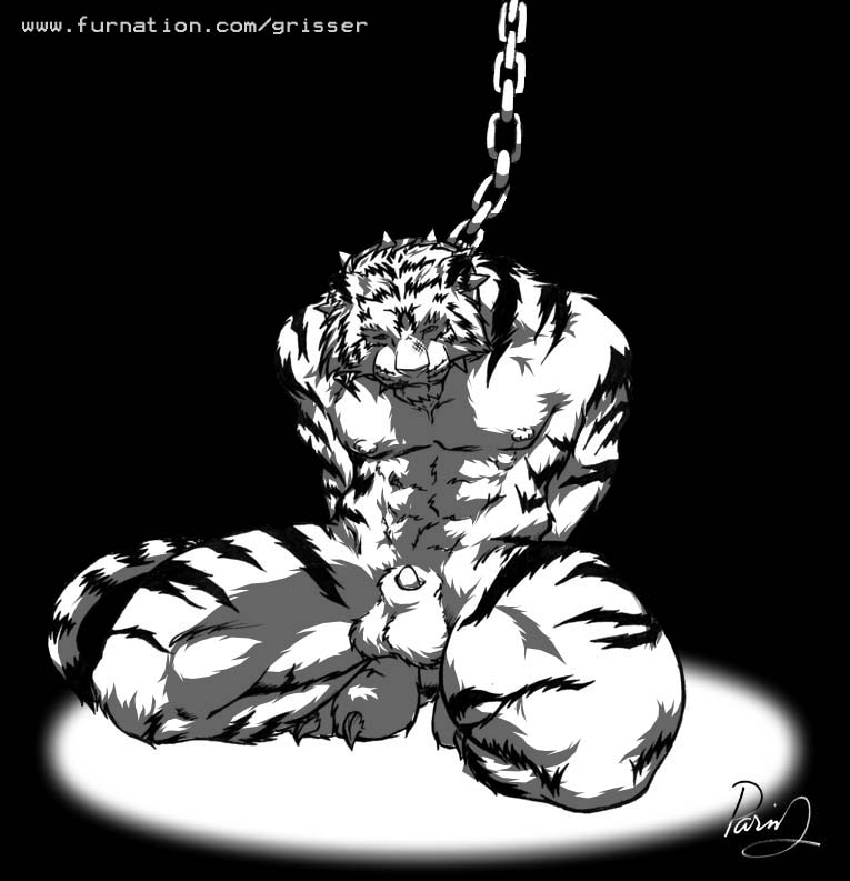 2004 anthro balls black_and_white bondage bondage bound chains collar felid flaccid genitals grisser hands_behind_back kneeling looking_at_viewer male mammal monochrome muscular nipples pantherine penis solo spiked_collar spikes submissive submissive_male tiger