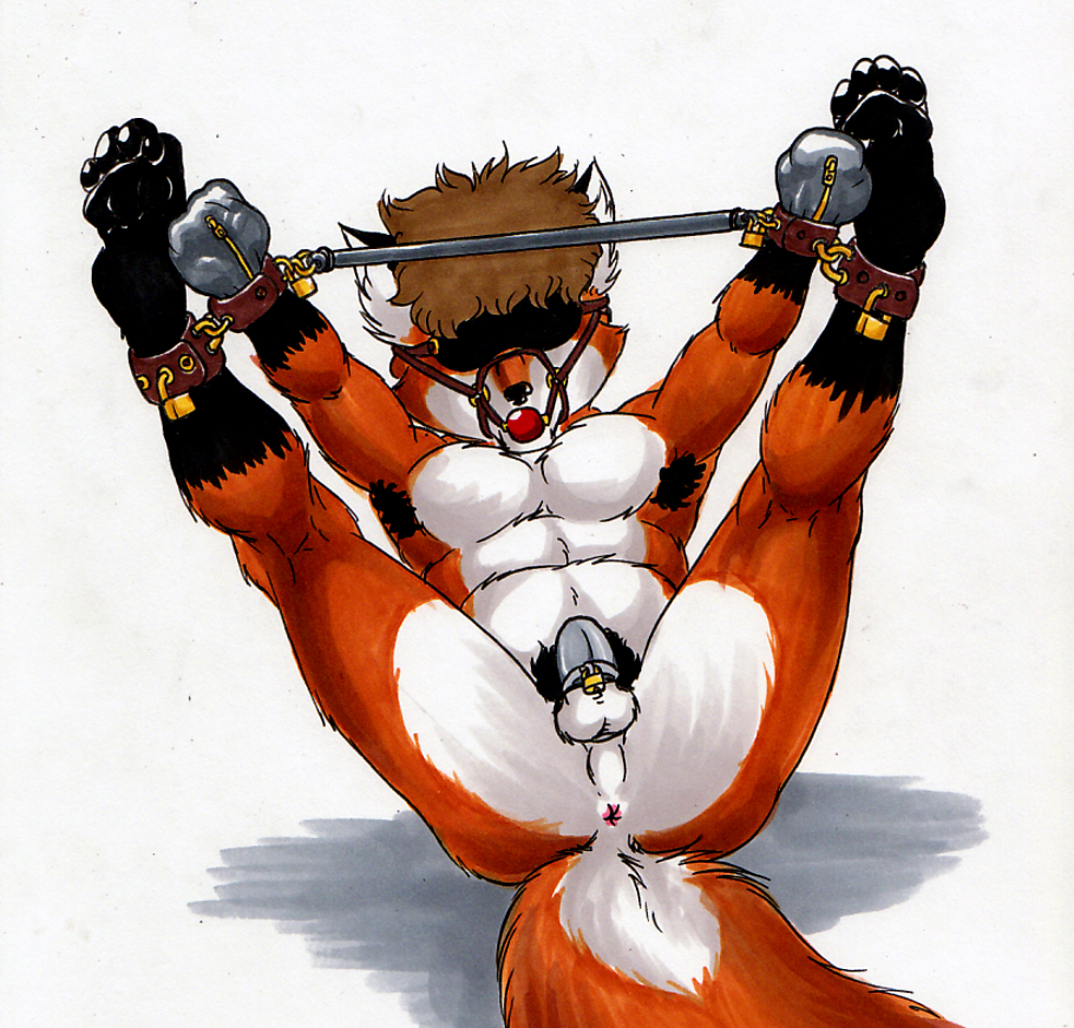 2008 anthro anus ball_gag balls blindfold bondage bondage bound canid canine chastity_device cuff_(restraint) fox gag genitals lock lying male mammal neoneon on_back restraints solo spread_legs spreader_bar spreading wrist_cuffs