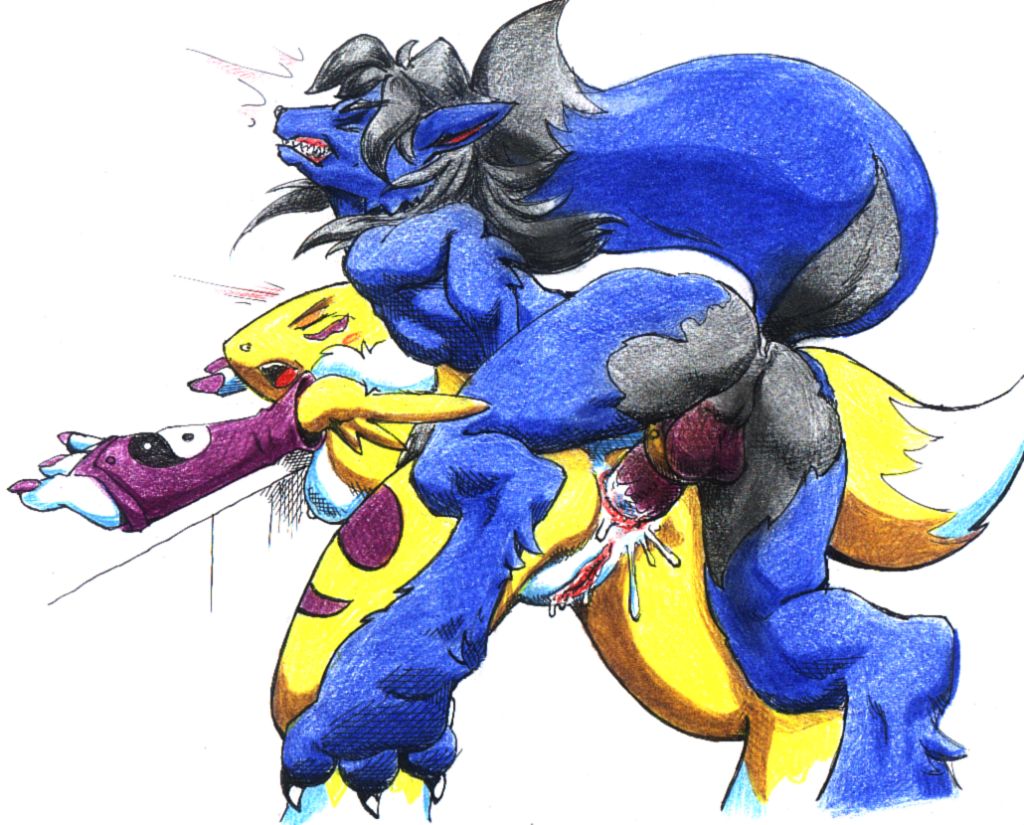 anal anal_sex anthro anus ass balls bent_over blue blush canine digimon female fox fur furry male penetration penis pussy pussy_juice raised_tail renamon sawblade_(artist) sex spread_legs spreading straight tail tattoo tomierlanely unknown_character yellow