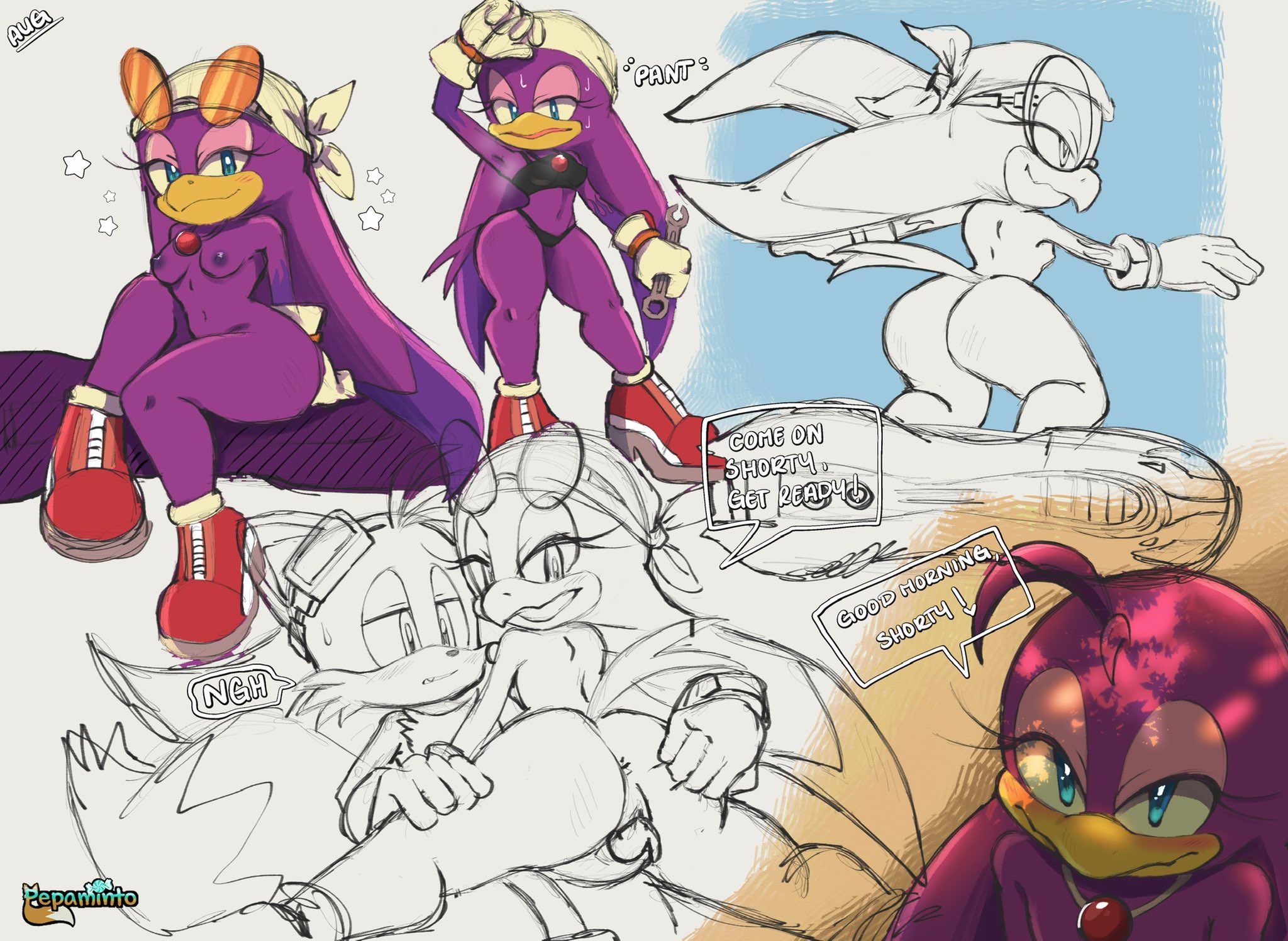 bottomless, casual, exposed torso, female, footwear, fox, handwear, headwear, male, naked footwear, older female, pepamintop, sonic (series), sonic riders, sonic the hedgehog (series), swallow (bird), tails, tails the fox, wave the swallow, younger male