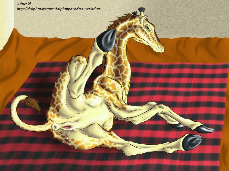 anus ass athus ass female feral giraffe hindpaw hooves long_neck muscles on_side plump_labia presenting pussy pussy_juice raised_leg solo spread_legs spreading