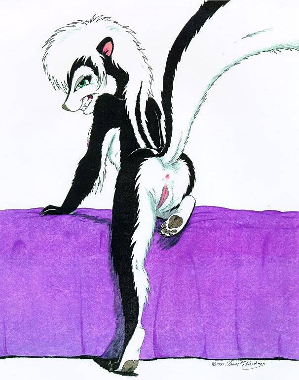1990s 1995 20th_century anus female grin hindpaw james_m_hardiman labia nude presenting pussy raised_tail skunk solo tail