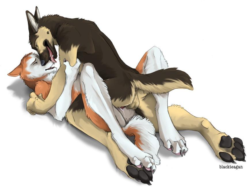 anthro blacktaegan blackteagan canine couple female fur furry german_shepherd husky licking love male marian_(ta-ek) nude raymond_(sidian) sex straight tongue