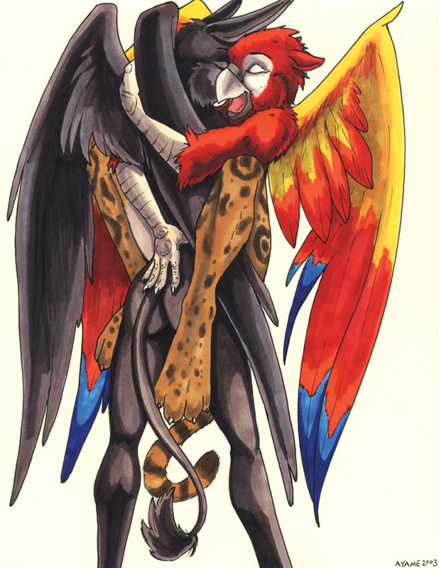 2003 ass avian ayame_emaya couple female gryphon macaw male margay parrot sex straight xan