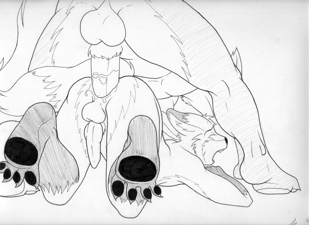 anal anal_sex anthro canine fox fur furry furry_only gay huge_cock kipfox male no_humans penetration penis ridiculous_fit size_difference strider_orion