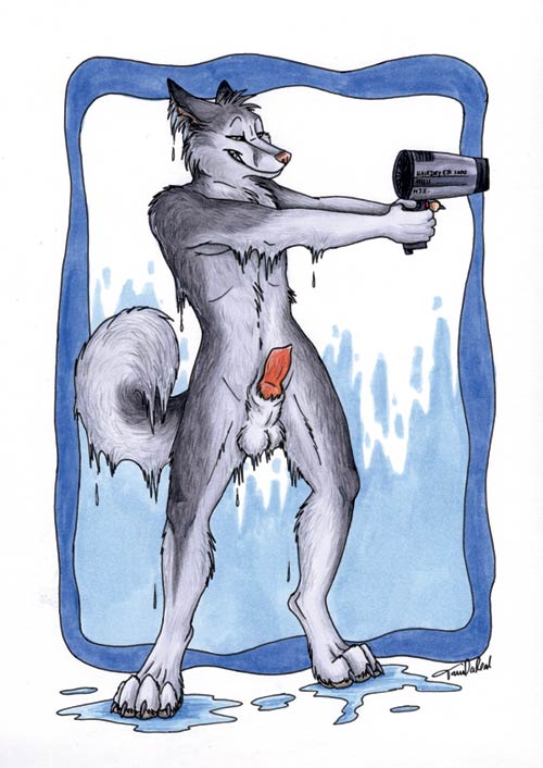 1boy anthro balls canine canine_penis doing_it_wrong fur furry hair_dryer hindpaw knot_in_sheath male male_only nude penis sheath solo tail tani_da_real