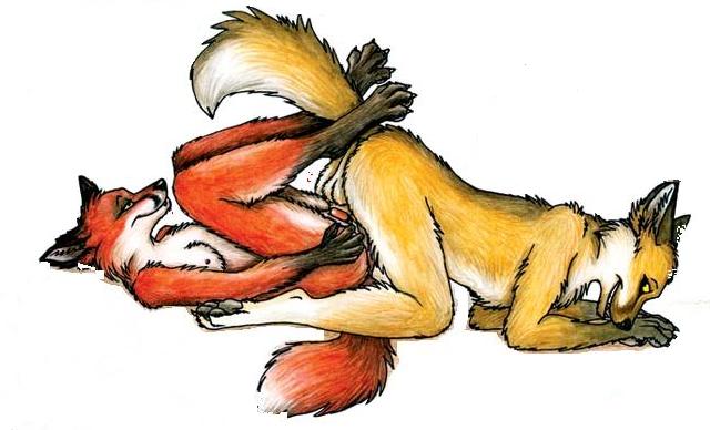 anthro balls breasts canine female fox fur furry male name_that_position penis pussy sex straight tail tani_da_real