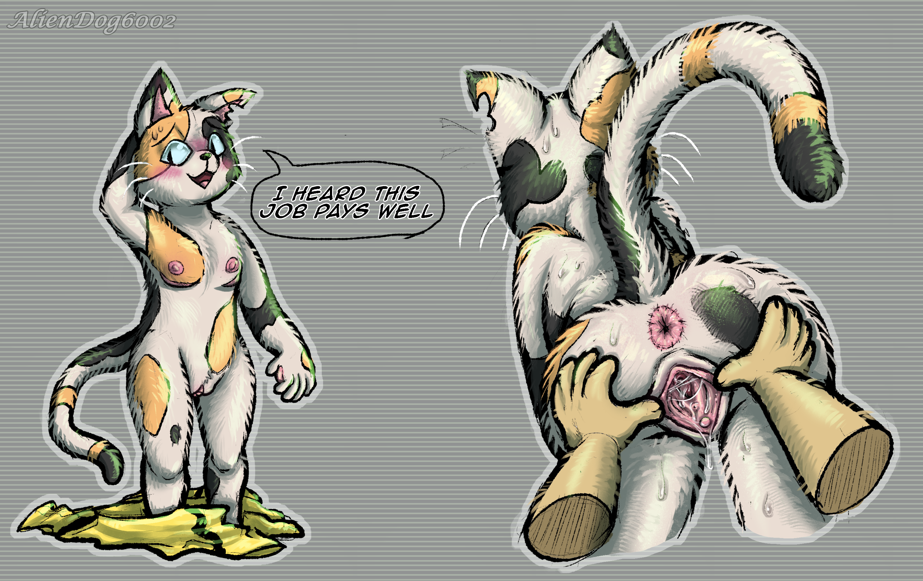 aliendog6002, animal hospital, anthro, anus, ass, cuntboy, dialogue, english text, furry, mastectomy scar, pussy spreading, roblox, roblox game, sam, speech bubble, spread pussy, sweat, tagme, text, trans man