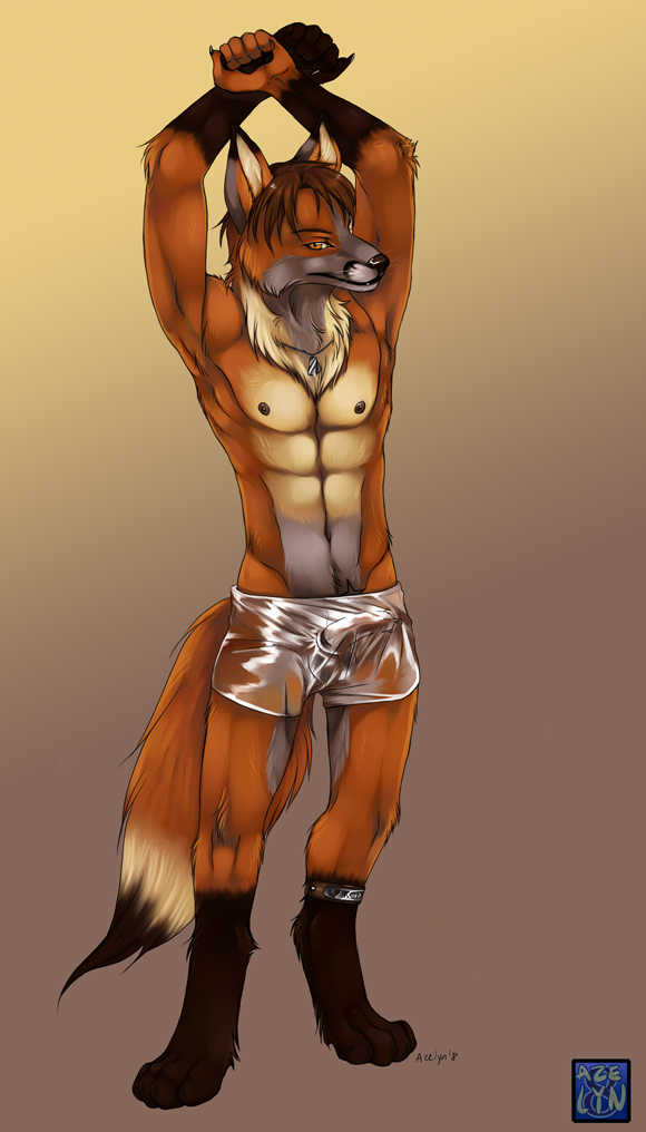 1boy anthro azelyn boxers bulge canine dog_tags fox fur furry male male_only outline penis see-through_underwear solo stretching underwear