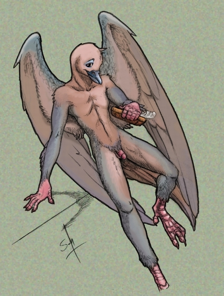 1boy anthro artist_initials avian balls ballsack barely_visible_balls beak colors feathers flaccid_penis humanoid_penis looking_at_viewer male male_only penis prehensile_feet scrotum seraph_(artist) small_penis solo testicles wings xaxoqual