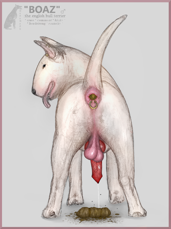 anal_piercing animal_genitalia animal_penis anus ass balls bodily_fluids bull_terrier canid canine canine_penis canis cum darkmare domestic_dog ejaculation erection feces feral fur genital_fluids genitals hunting_dog knot looking_at_viewer looking_back male male_only mammal penis piercing pink_anus pink_balls presenting presenting_hindquarters saggy_balls scat solo terrier text tongue tongue_out white_body white_fur