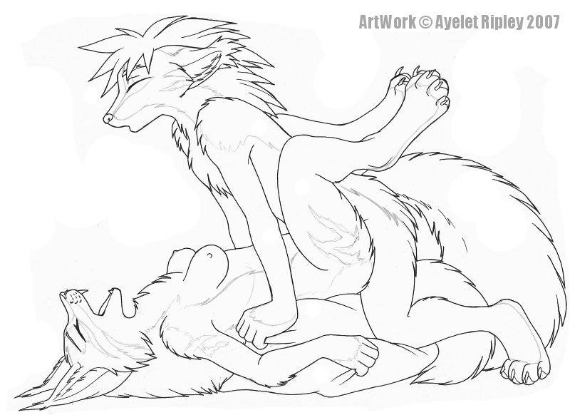 2007 anthro ayelet aylie breasts butterfly_position canine closed_eyes couple feline female fox fur furry furry_only lynx lyote male nude penetration sex straight vaginal_penetration