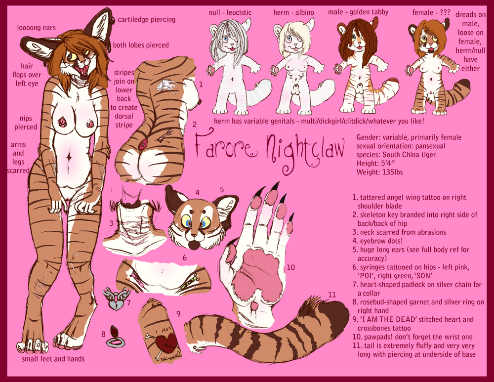 anthro farorenightclaw feline female fur furry model_sheet tabby