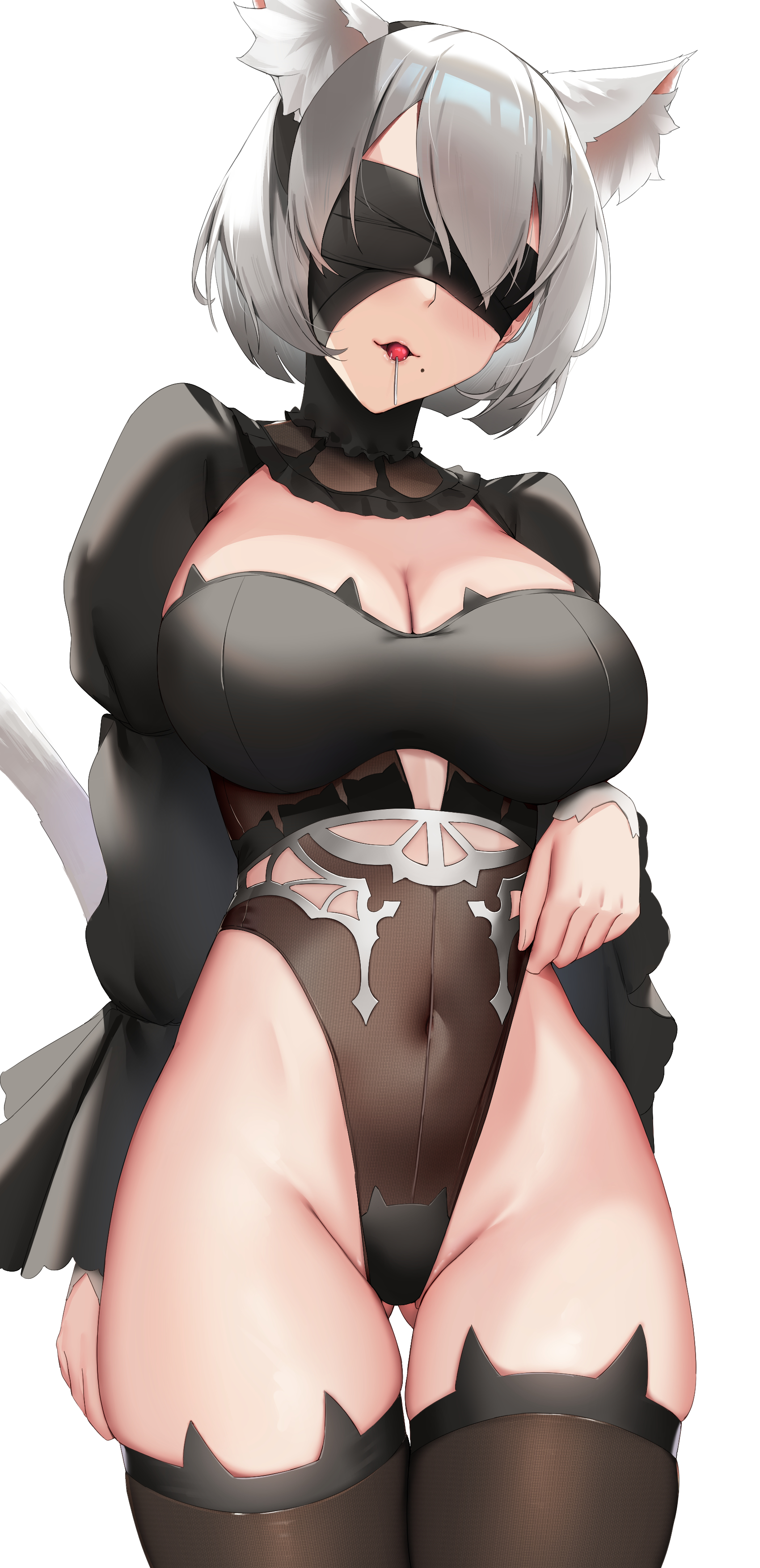 1girls, beauty mark, black socks, blindfold, breasts, cat ears, cat girl, cat tail, cat thighhighs, catgirl, female, hi res, highleg leotard, hips, huge breasts, leotard, light skin, light-skinned female, mole under mouth, nier, nier: automata, short hair, skai kun, slim waist, socks, thick thighs, thigh socks, thighhighs, thighs, white hair, wide hips, yorha 2b