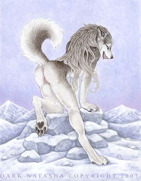 2007 4_toes all_fours anthro anus arctic ass back_view barefoot canine claws dark_natasha digitigrade female female_only fur furry furry_ass furry_ears furry_tail grey_fur grey_hair hair husky ice licking licking_lips long_hair mammal nude open_mouth paws pinup presenting pussy raised_tail snow solo tail tongue uncensored white_fur