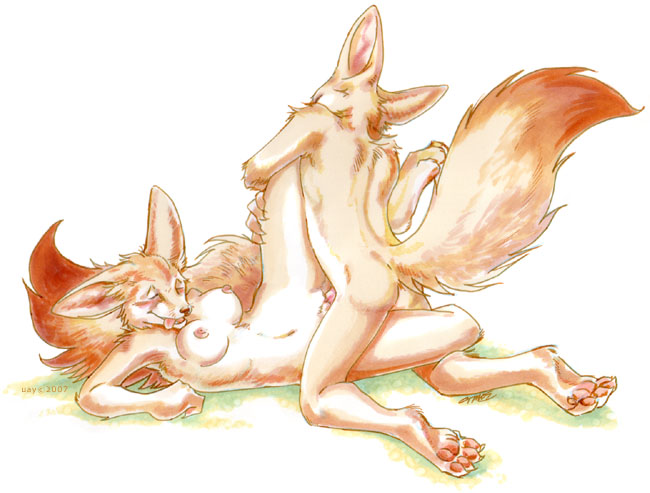 canine couple female fennec fox fur furry_ears furry_tail leg_glider_position male male/female sex straight tail uaykan vaginal white_background