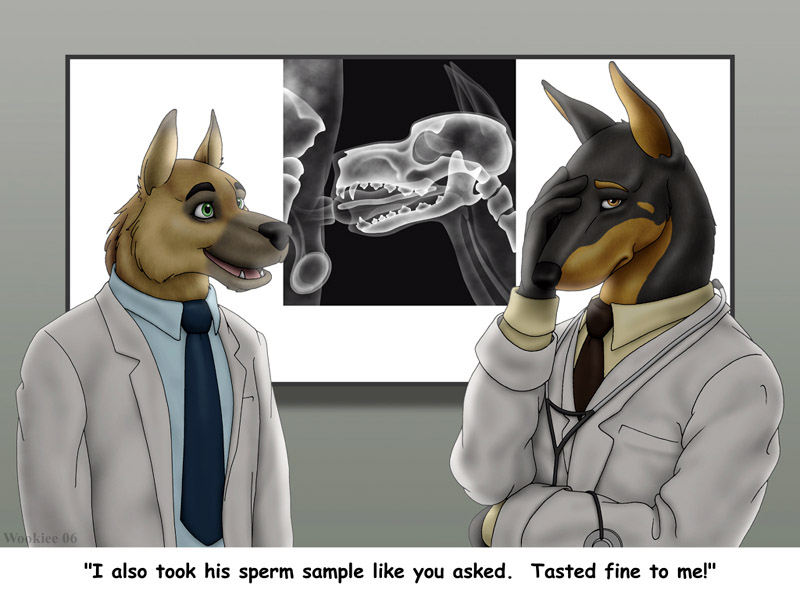 anthro balls canine canine_penis couple doberman doctor doing_it_wrong english_text facepalm fellatio funny fur furry gay german_shepherd green_eyes hospital humor internal looking_at_viewer male medical necktie nurse oral oral_sex orange_eyes penis sex skull stethoscope text unprofessional_behaviour wooky x-ray