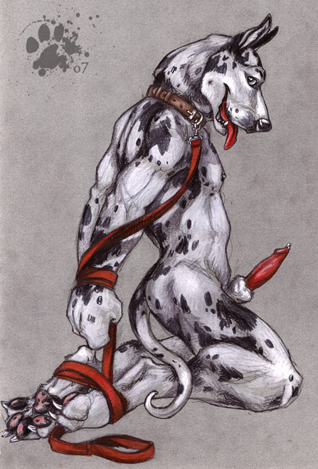 anthro blackteagan blotch bondage canine canine_penis collaboration collar colored_background cum fur furry great_dane hindpaw leash male male_only penis solo tess_garman