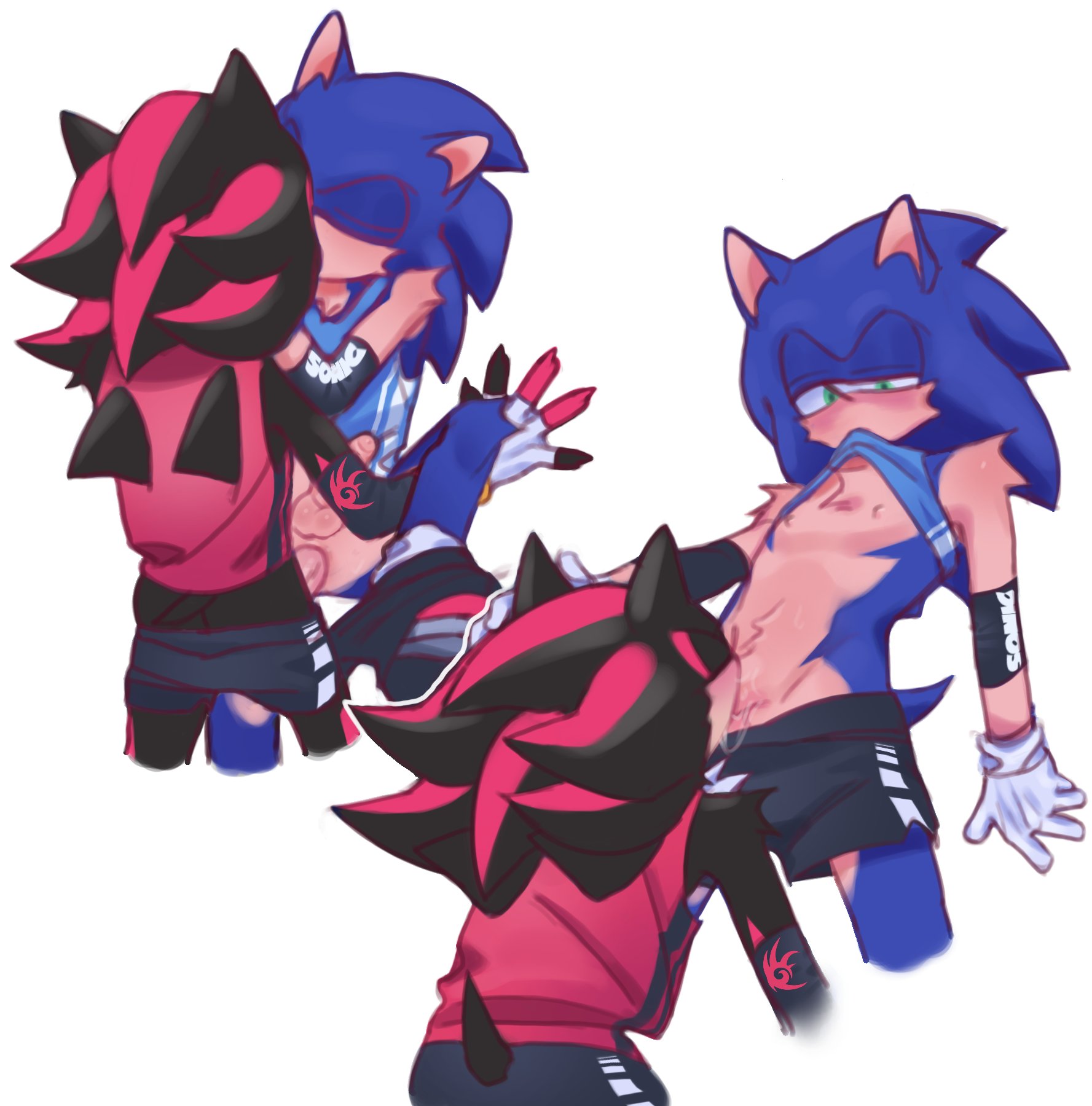 anal, anal sex, anthro, balls, blowjob, furry, gay, gay sex, kissing, male, penetration, penis, shadow the hedgehog, sonadow, sonic (series), sonic the hedgehog, sonic the hedgehog (series), yaoi