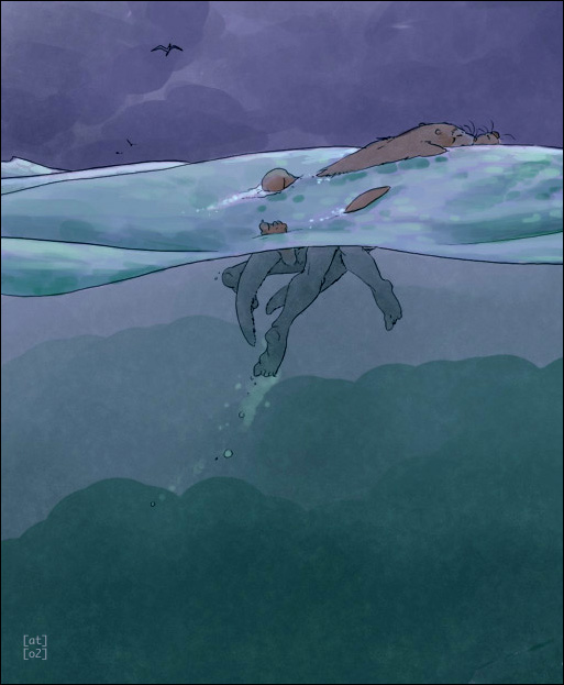 amara_telgemeier couple floating ocean otter sea sea_otter sex surface underwater