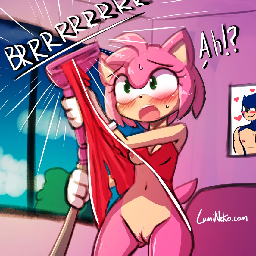 accidental_exposure amy_rose crying eulipotyphlan hedgehog lumineko mammal no_panties pink_fur pink_hair solo sonic_(series)