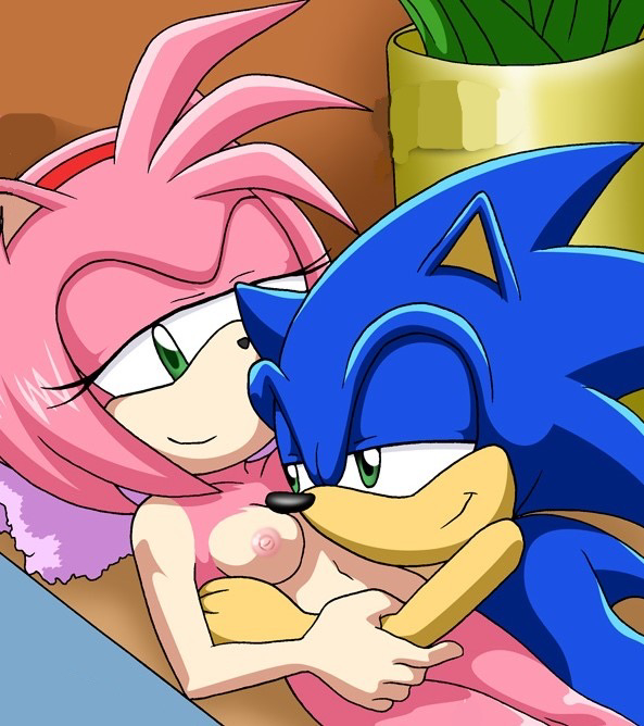 Sonic (Series) Rule 34 Image
