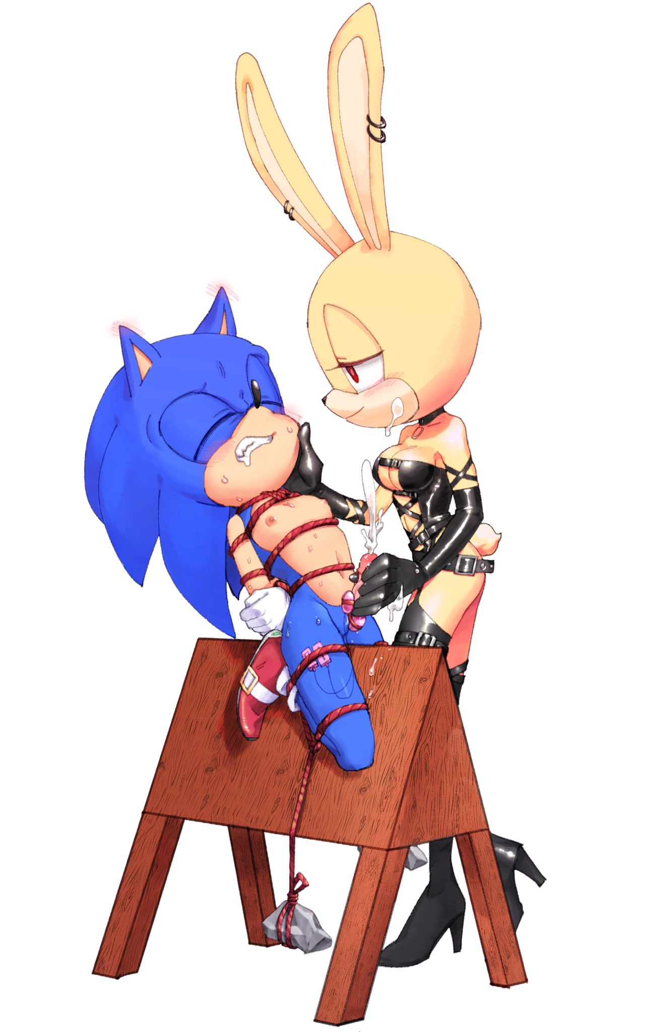 anthro butterfly_the_rabbit dominatrix ear_blush egg_vibrator ejaculation femdom forced_orgasm handjob latex original_character sex_toy shibari shiche sonic_(series) sonic_oc sonic_the_hedgehog vibrator vibrator_on_penis weights_(bdsm) wooden_horse