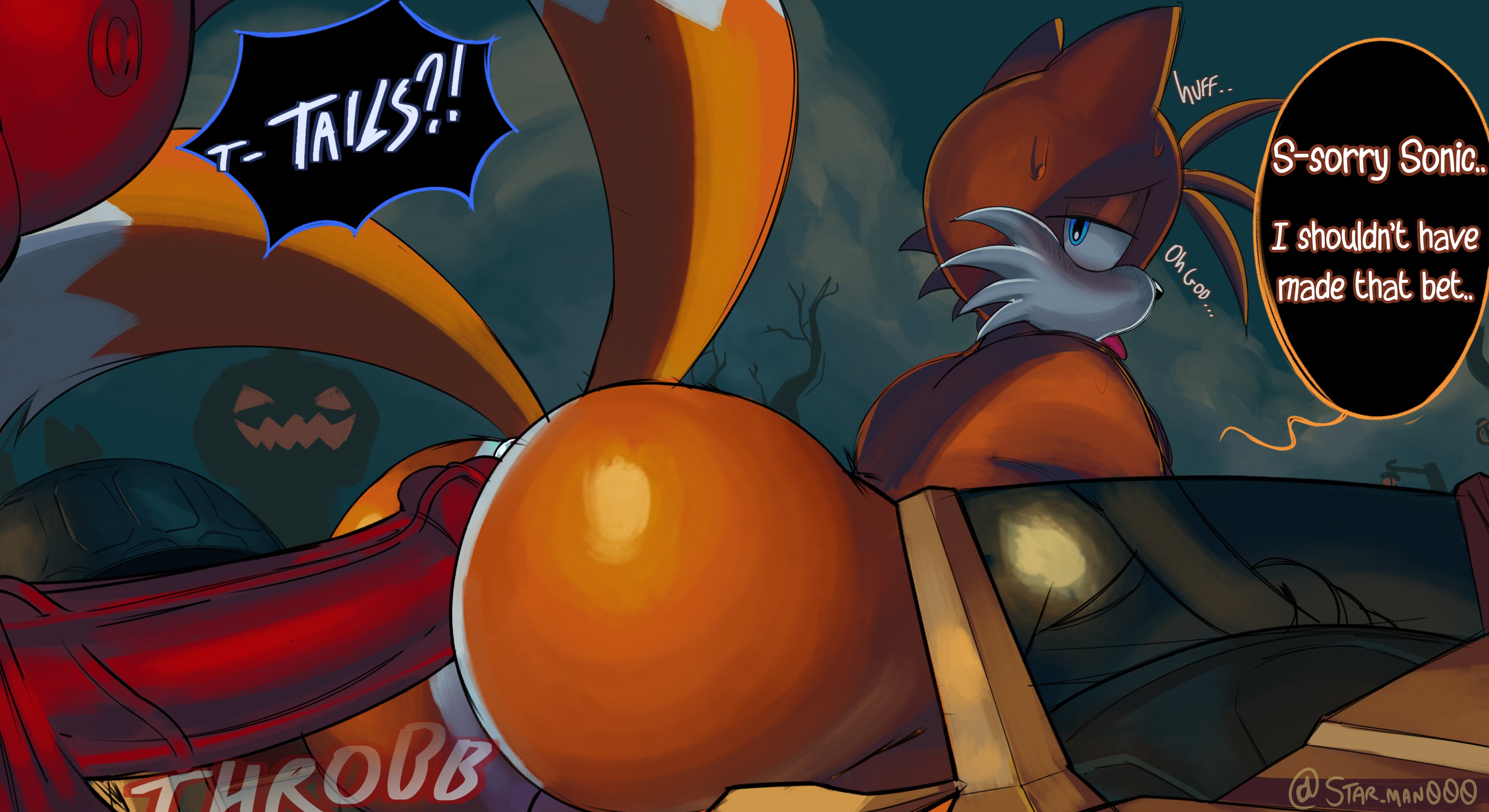 anthro, anthro on anthro, ass, big penis, male only, sega, sonic (series), sonic the hedgehog (series), starstar000, tails the fox, zavok