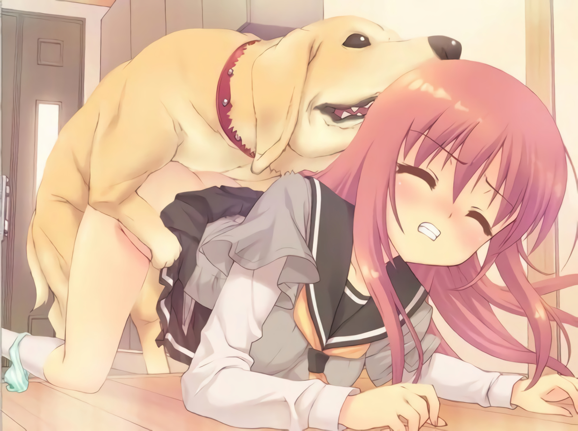 female, female on feral, human on feral, interspecies, sex, zoophilia