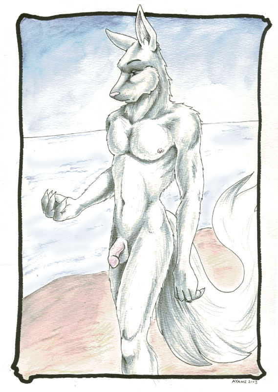 1boy 2003 anthro ayame_emaya beach canid canine flaccid flaccid_penis furry german_shepherd male nipples ocean outdoors outside penis solo solo_male testicles wather