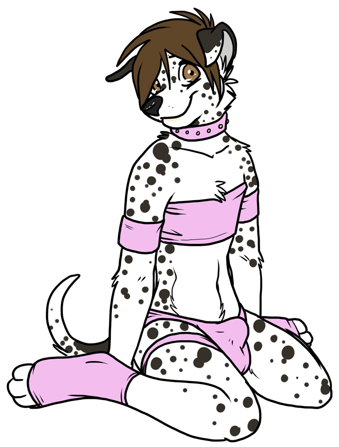 1boy anthro brown_eyes brown_hair bulge canine collar crossdressing cute dalmatian erection fur furry hair jamie looking_at_viewer male male_only muzz panties penis pink socks solo tail thong underwear