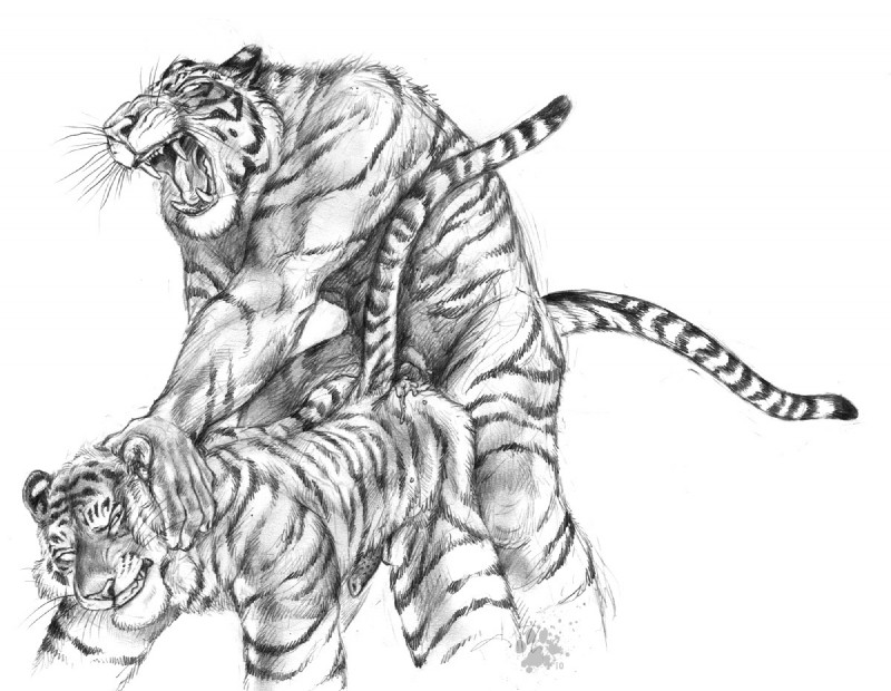 anthro barbed_cock black black_and_white blotch feline feline_penis fur furry furry_only gay male monochrome sketch striped tail tiger white_background