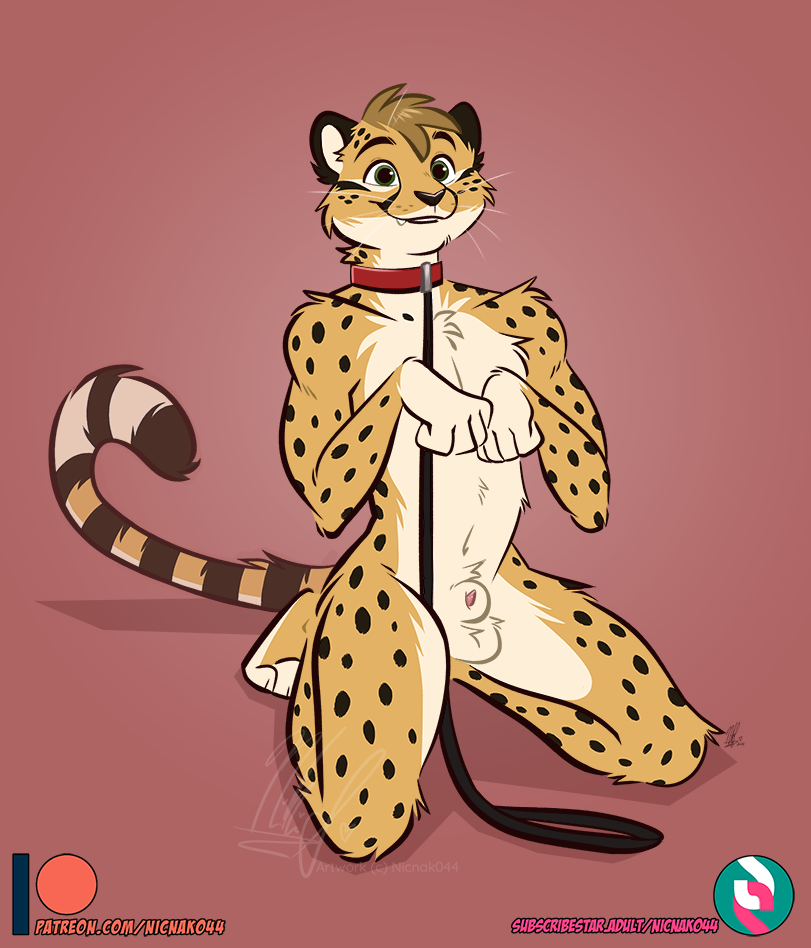 animal_genitalia anthro balls begging begging_pose cheetah collar feet felid feline felis genitals leash male mammal nicnak044 paws peeking_penis pinup pose sheath solo