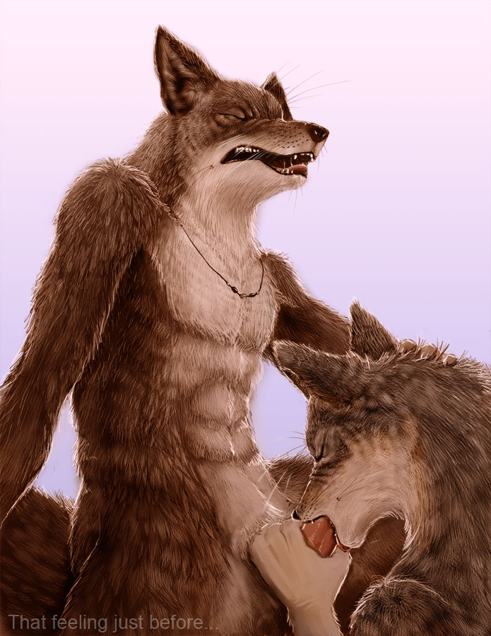 anthro canine coyote fur furry male oral oral_sex penis sex slash0x