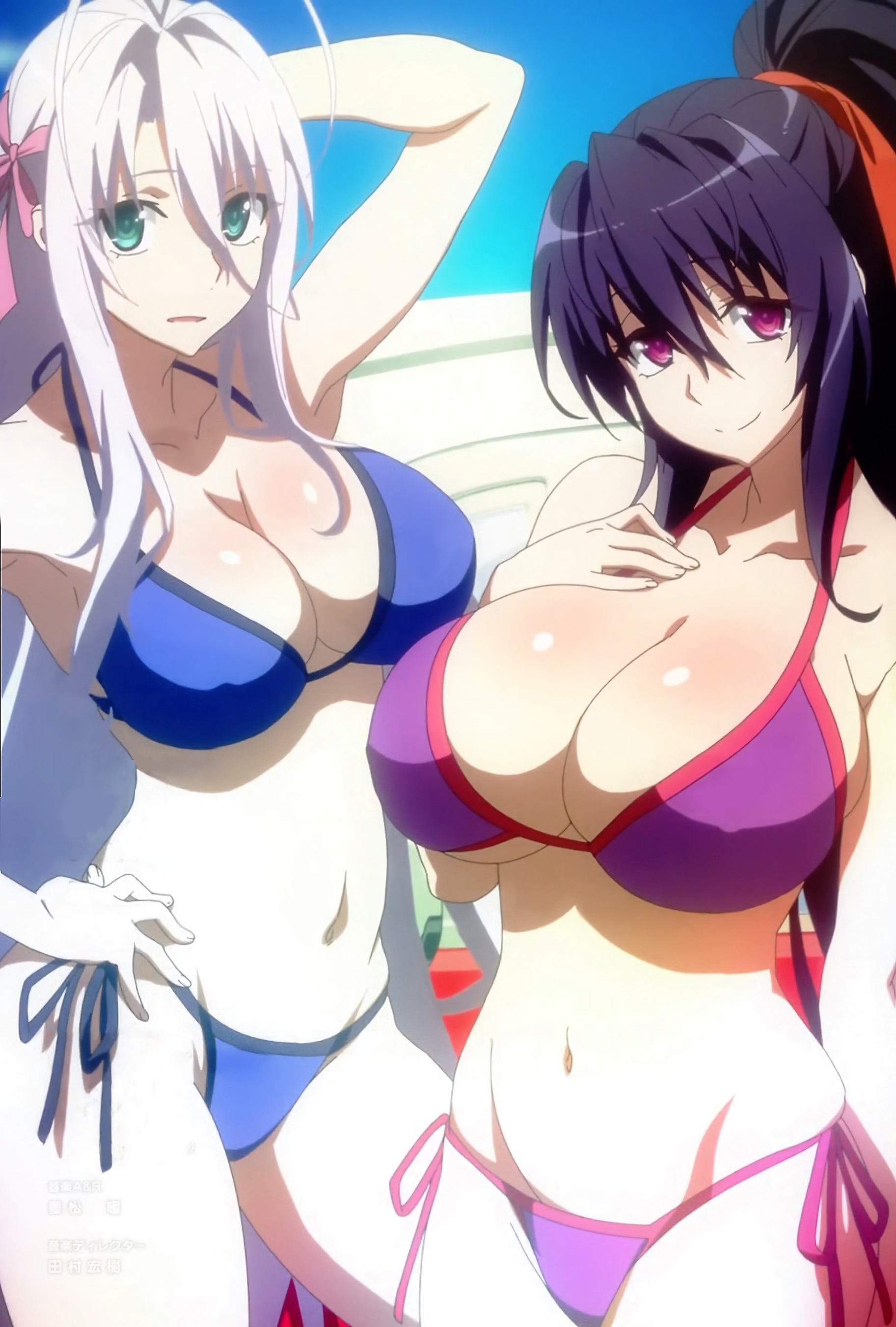 akeno himejima, bikini, breasts, demon, demon girl, female, high school dxd, high school dxd hero, passione (company), rossweisse, screencap, screenshot