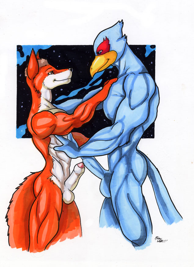 2011 anthro bird color erection eye_contact falco_lombardi fox fox_mccloud fur furry furry_only furry_tail gay interspecies looking_at_another male male_only multiple_males muscles muscular no_humans nude open_eyes orange_fur penis pheasant side_view standing star_fox tail white_fur wolfgangcake yaoi